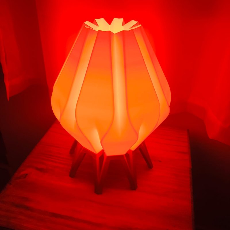 Tulipa vermelha acesa no ateliê